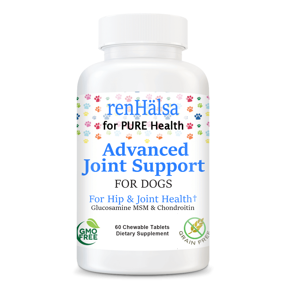 Advanced Hip & Joint Support for Dogs With MSM And ChondroitinPets - renhalsa